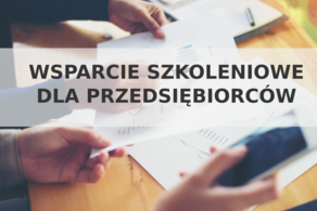 Ilustracja do artykułu: Wsparcie dla sektora MSP i pracowników