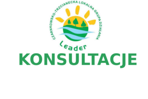 Ilustracja do artykułu: Konsultacje w LGD