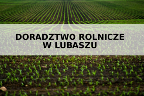 Ilustracja do artykułu: Doradztwo rolnicze w Lubaszu