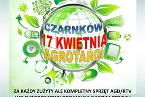 Ilustracja do artykułu: Ozdobny krzak za elektrograt