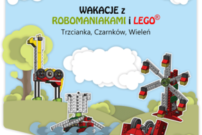 Ilustracja do artykułu: Robotomaniacy