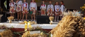 Ilustracja do artykułu: Dożynki w Lubaszu.