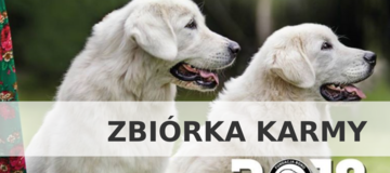 Ilustracja do artykułu: Akcja zbiórki karmy 