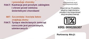Ilustracja do artykułu: Ogólnopolski miesiąc sterylizacji zwierząt