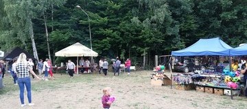 Ilustracja do artykułu: Dzień Dębego już za nami