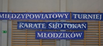 Ilustracja do artykułu: Młodzi karatecy rywalizowali w Lubaszu