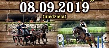 Ilustracja do artykułu: Święto konia w Rychliku