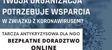 Ilustracja do artykułu:  TARCZA ANTYKRYZYSOWA DLA NGO