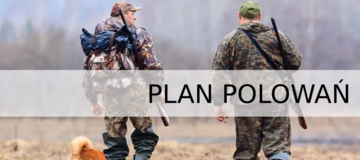 Ilustracja do artykułu: Plan polowań