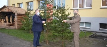 Ilustracja do artykułu: Kampania choinka w czasie pandemii