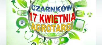 Ilustracja do artykułu: Ozdobny krzak za elektrograt