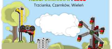Ilustracja do artykułu: Robotomaniacy