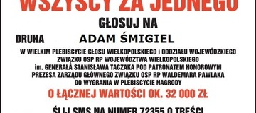 Ilustracja do artykułu: Głosujemy na druha Adama Śmigla