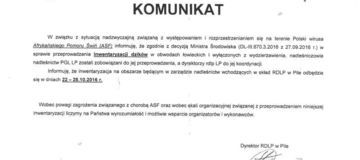 Ilustracja do artykułu: Informacja dotycząca inwentaryzacji dzików w obwodach łowieckich