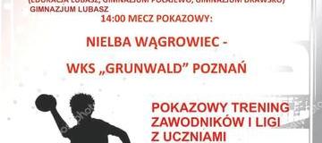 Ilustracja do artykułu: Lubaskie Spotkanie z Piłką Ręczną