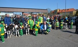 Agro_targi_2019_7