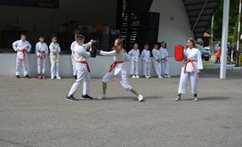 DSC_0799-resizer-800S