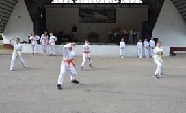 DSC_0785-resizer-800S