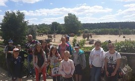 20190704_112643-Resizer-800S