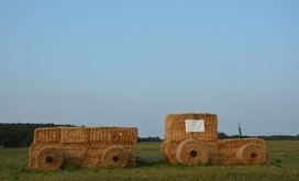 DSC_0753-Resizer-800S
