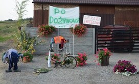 DSC_0711-Resizer-800S