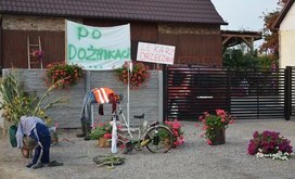 DSC_0710-Resizer-800S
