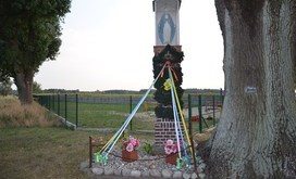 DSC_0700-Resizer-800S