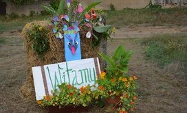 DSC_0668-Resizer-800S