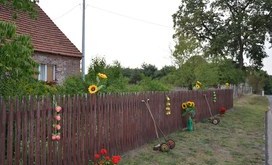 DSC_0665-Resizer-800S