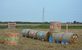 DSC_0594-Resizer-800S
