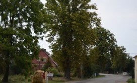 DSC_0555-Resizer-800S