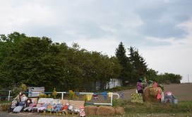DSC_0528-Resizer-800S