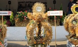 IMG_1443-Resizer-800S