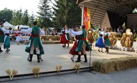 IMG_1231-Resizer-800S