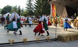 IMG_1230-Resizer-800S