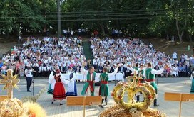IMG_1215-Resizer-800S