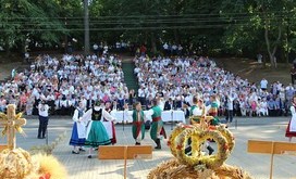 IMG_1213-Resizer-800S