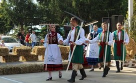 IMG_1185-Resizer-800S