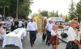 IMG_1110-Resizer-800S