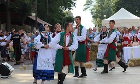IMG_1254-Resizer-800S