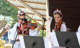 IMG_1220-Resizer-800S