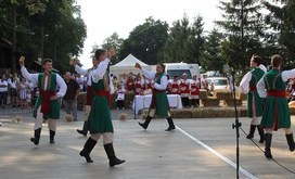 IMG_1208-Resizer-800S