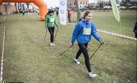 kije 6
