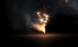 IMG_5533-resizer-800S