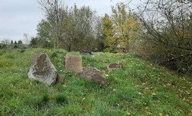 20201028_105826-resizer-800S