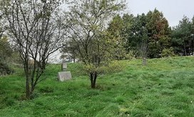 20201028_105741-resizer-800S