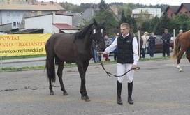Agro-targi_2016_3