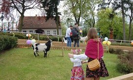Majówka_2016_2