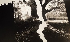 Wystawa_Edukacja_Lubasz_3