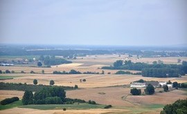 Lubasz_z_lotu_ptaka_18